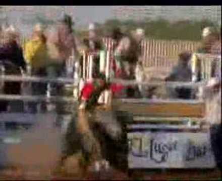 2006 Fidel Rodriguez Memorial Bullriding Blowout