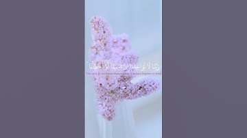 الآيتان من آخر سورة البقره بصوت القارئ# سالم الرويلي#حالات واتساب قرآن كريم #ستوريات قرآن كريم🌸🙂