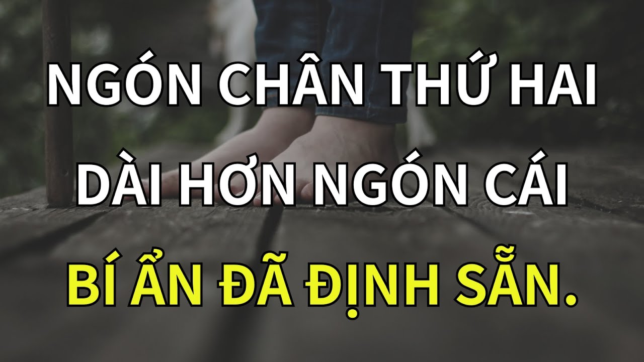 Ngón Chân Thứ Hai Dài Hơn Ngón Cái – Dấu Hiệu Kỳ Lạ Của Người Mang Nghiệp Lớn Từ Tiền Kiếp