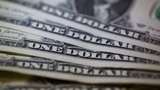 Hedge Funds Go All In on US Dollar