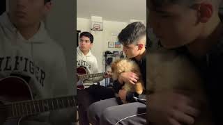 Full Studio Cover Is Coming Soon #Mother By @Pinkfloyd #Pomeranianpuppy #Rockmusic #Dog #Pinkfloyd