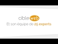 Cibleweb competences webmarketing