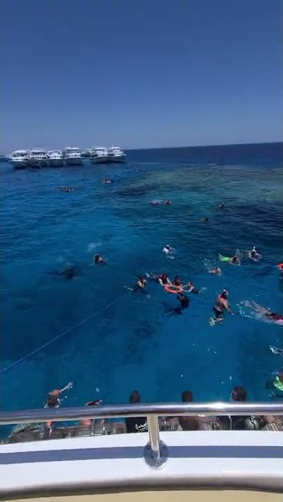 Ras Mohamed national park 🇪🇬🦈🇪🇬