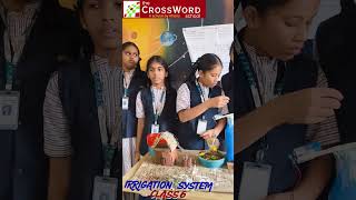 Class 6 Science – Irrigation System Model Demo
