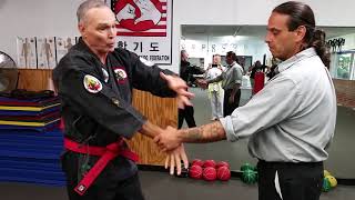 Practical Hapkido offensive mindset