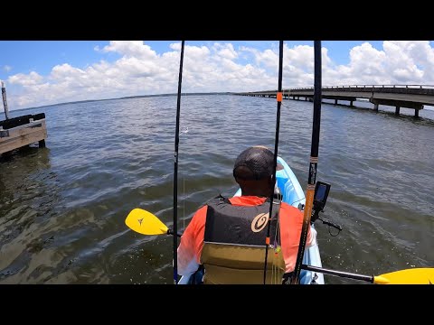 Scouting new fishing spots on Lake Conroe - YouTube