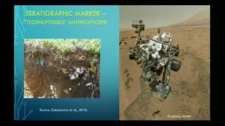 Microplastics in Beach Sediments along Southern Lake Michigan, USA