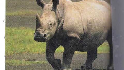 3 3 L V Perform Function Operations and Composition Pt 1