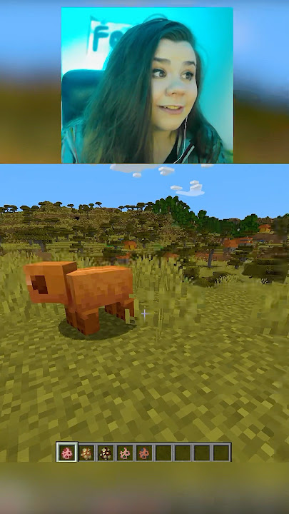 Did they have to make it so obvious though 😭 #minecraft #mc #minecraftmob