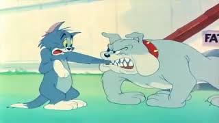 Tom And Jerry Painful Compilation 2025 Part 12