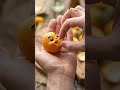 THE VIRAL CUTEST LITTLE ORANGE EVER! 🍊 Sweet Citrus Gem Comes to Life | Munchable Bites