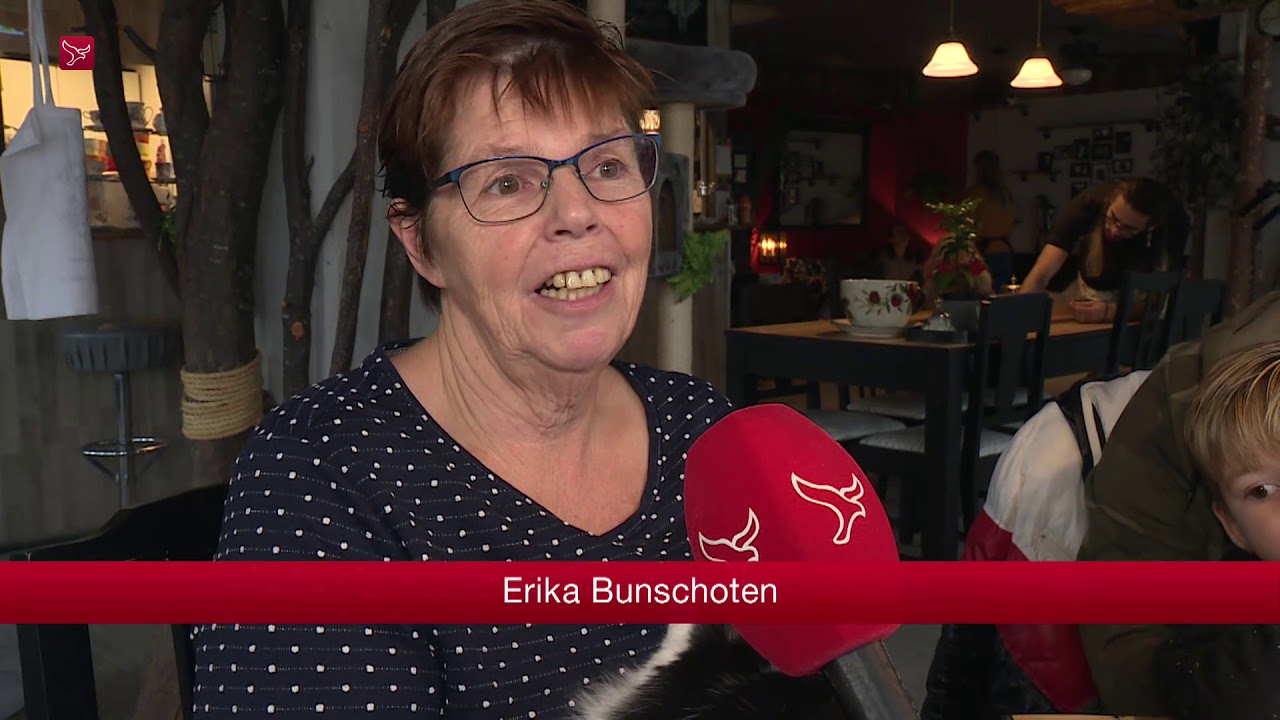 Kattencafé trekt veel bezoekers