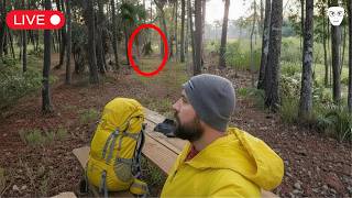 Watch All REAL Bigfoot Sightings Captured In 2026 LIVE