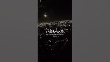 آيات من القرآن الكريم 💞 سورة غافر 💞 الآية 44