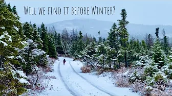 Freedom is wanting less | Someday Series Episode 9 | Birchy Brook Cabin