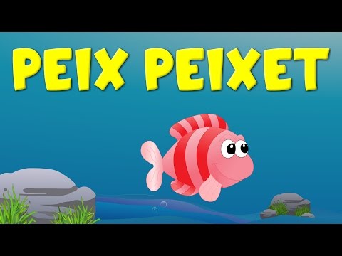 Vídeo: Peix al país. Estany de peixos de bricolatge