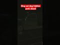 Dog eat dog hidden perk shard #cyberpunk2077 #cp2077 #cyberpunkphantomliberty