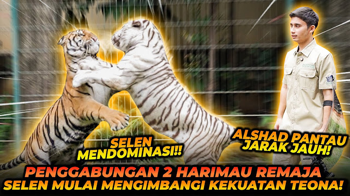 SELEN MULAI MENGIMBANGI KEKUATAN TEONA ?! KITA UDAH TIDAK JAGA MEREKA LAGI !!