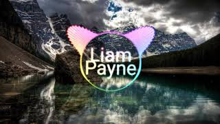 Liam Payne  Strip That Down  Spectrum Ft Quavo