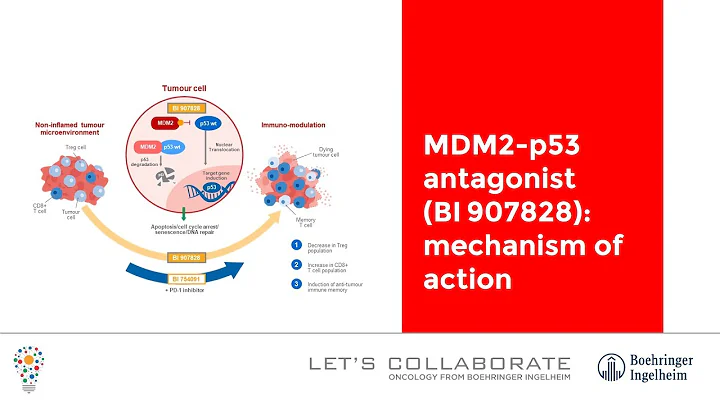 MDM2-p53 antagonist (BI 907828): mechanism of action