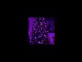 Christmas tree lights that dance to the music
