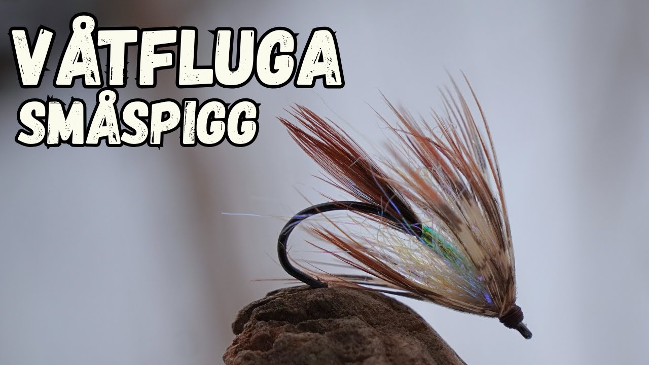 Våtfluga - Småspigg - SVENSKT TAL