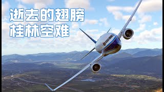 南方航空3943班機的悲劇，逝去的翅膀，桂林空難【空難事件】