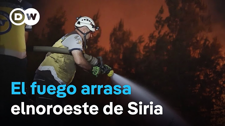 Estos son los obstáculos que impiden que Siria controle los incendios forestales