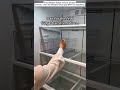 This lifestyle fridge restock started normal… then the lifestyle setup got WAY too satisfying
