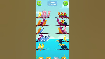 BIRD SORT COLOLUR - LEVEL 20 I Shorts