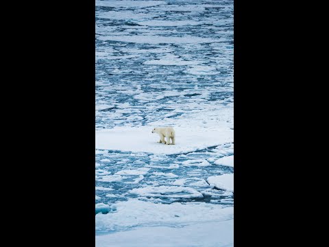 Walking On Water