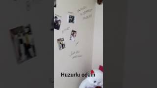 Ay Yıldız Kolye Güzel
