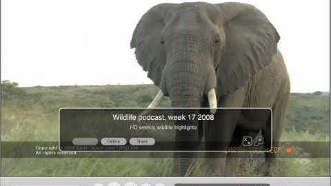 Miro 3 An amazing open-source, non-profit video player