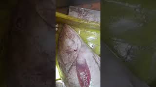 مسمكة الصيد التقليدي للبيع انواع السمك في انواذيبو موريتانيا #انواذيبو (2)