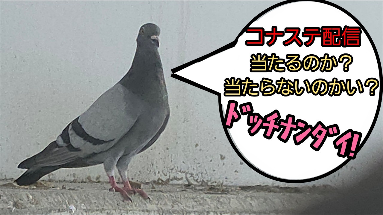 アニマロッタ部品等 コナステ アニマロッタ - YouTube