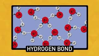 The Chemistry of Water | Chemistry Basics screenshot 2