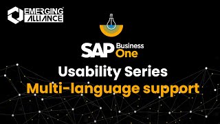 SAP Business One Usability Series - Multi-Language Support