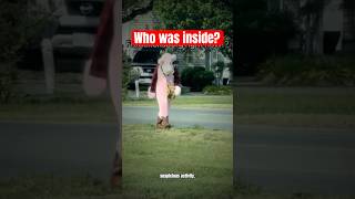 Pink Panther Suspect Still At Large 🚨 #warning #police #shorts