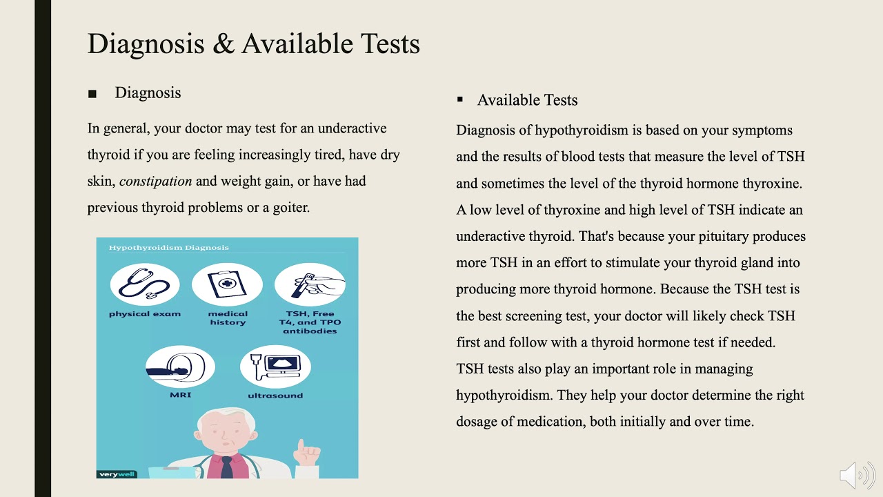 Nutrition Group Project by Hailee Sheridan and Priscilla Fuentes YouTube