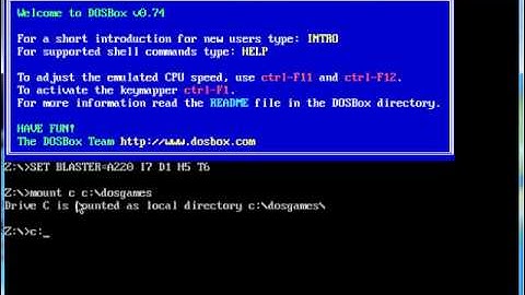 SimAnt DosBox 0.74 Windows 7