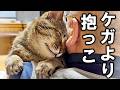 8年ずっと野良猫だったおっさん猫が原因不明のケガをしました