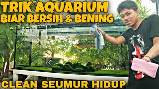 CARA MUDAH AGAR AIR AQUARIUM JERNIH DAN BENING AWET SEUMUR HIDUP ENAK DILIHAT