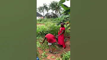 Wait For It Comedy Duet Viral Funny 