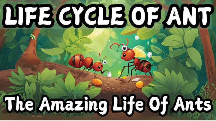 Life Cycle of ant | Ant life cycle for Kids | Ants Facts | Learn all about ants | Ant facts