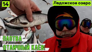 Зимняя рыбалка на ПЛОТВУ. Хороший КЛЁВ! Ладожское озеро. На мотобуксировщике по льду.