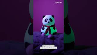 Cutest Gift Idea: Rechargeable Panda Lamp