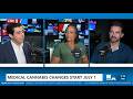 What to know about the medical cannabis law changes