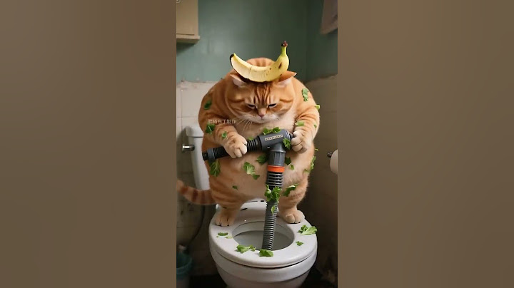 白头鹰一盆洗菜水浇在胖橘头上！#有趣 #分享 #动物 #猫咪 #狗狗