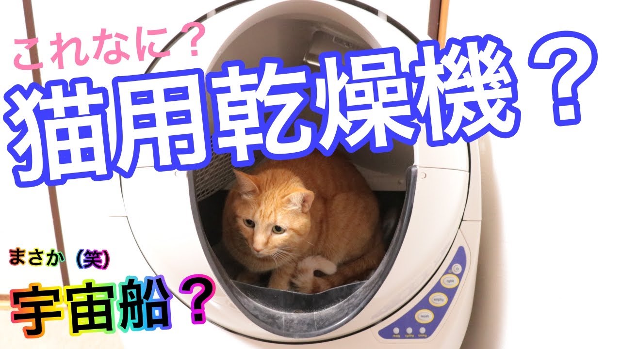 キャットロボットオープンエアーの仕組みと動作を紹介【全自動猫トイレ】