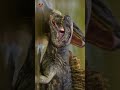 3D compositing Reels #unrealengine #vfxshowreel #animation #vfx #maya